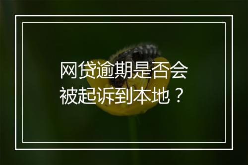 网贷逾期是否会被起诉到本地？