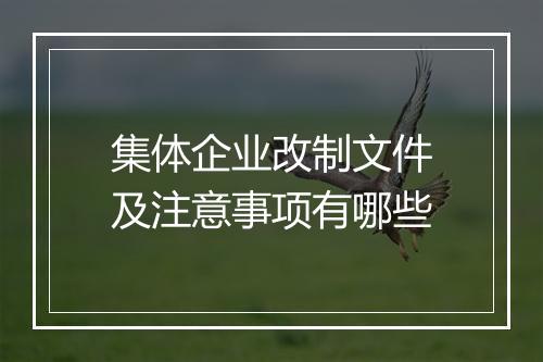 集体企业改制文件及注意事项有哪些