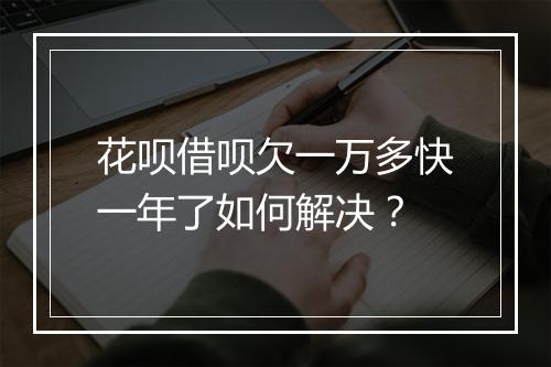 花呗借呗欠一万多快一年了如何解决？