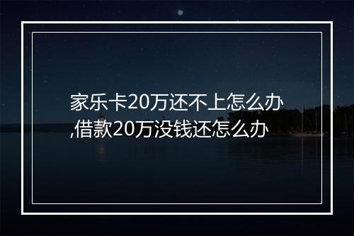 家乐卡20万还不上怎么办,借款20万没钱还怎么办