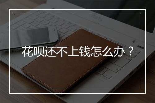 花呗还不上钱怎么办？