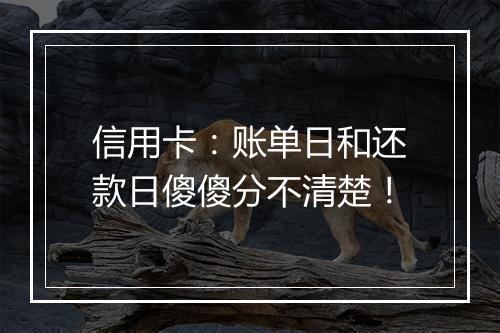 信用卡：账单日和还款日傻傻分不清楚！