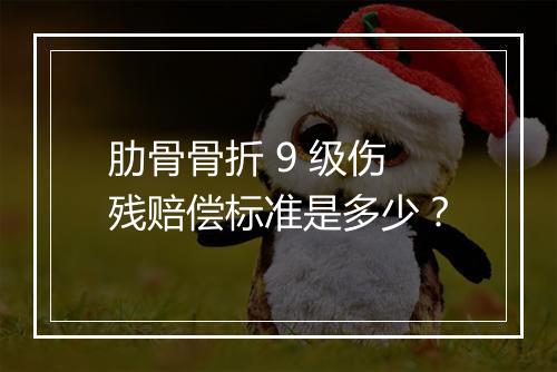 肋骨骨折 9 级伤残赔偿标准是多少？