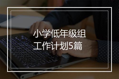 小学低年级组工作计划5篇