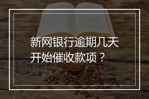 新网银行逾期几天开始催收款项？
