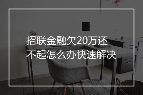 招联金融欠20万还不起怎么办快速解决