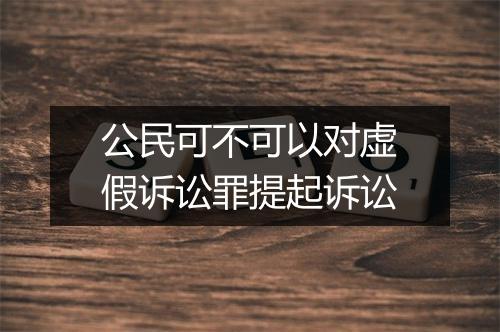 公民可不可以对虚假诉讼罪提起诉讼