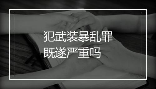 犯武装暴乱罪既遂严重吗