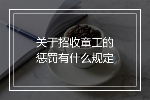 关于招收童工的惩罚有什么规定