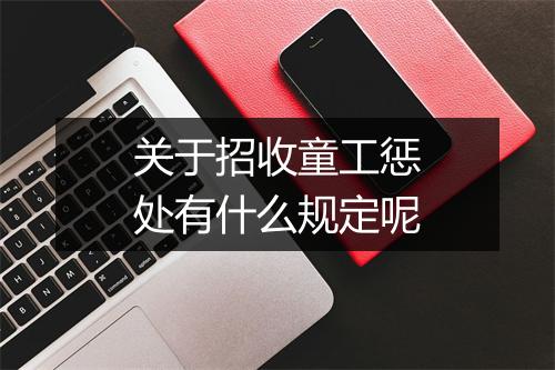 关于招收童工惩处有什么规定呢