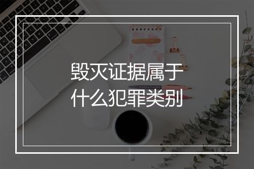 毁灭证据属于什么犯罪类别