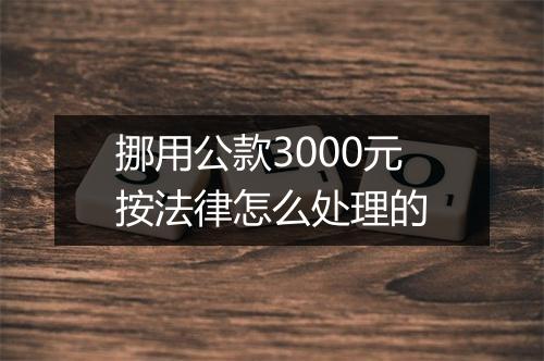 挪用公款3000元按法律怎么处理的