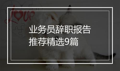 业务员辞职报告推荐精选9篇