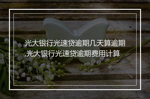 光大银行光速贷逾期几天算逾期,光大银行光速贷逾期费用计算