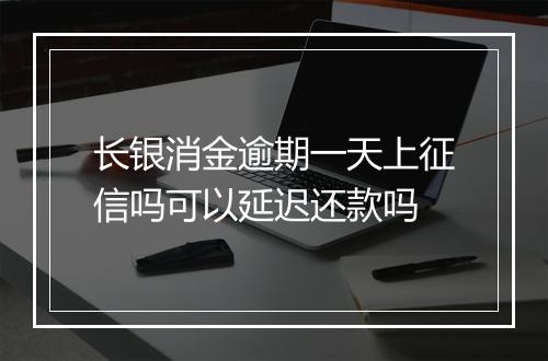 长银消金逾期一天上征信吗可以延迟还款吗