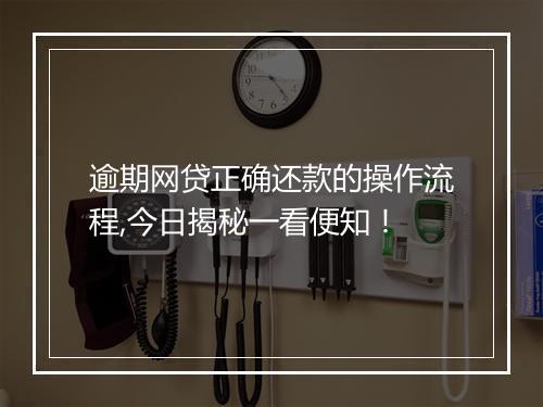 逾期网贷正确还款的操作流程,今日揭秘一看便知！
