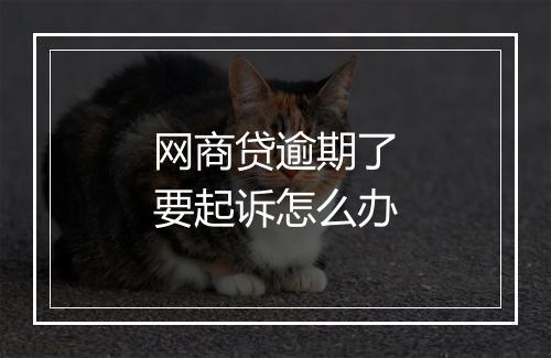 网商贷逾期了要起诉怎么办