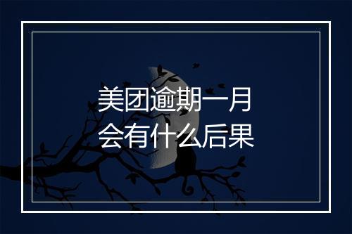 美团逾期一月会有什么后果