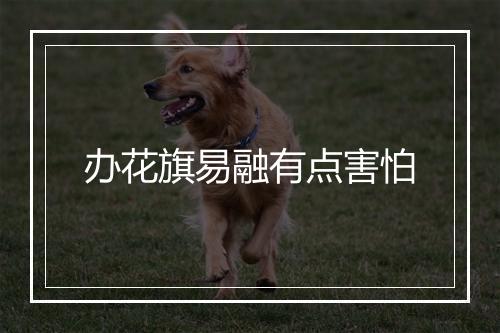 办花旗易融有点害怕