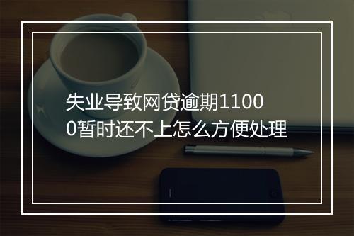失业导致网贷逾期11000暂时还不上怎么方便处理