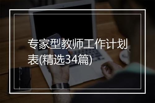 专家型教师工作计划表(精选34篇)