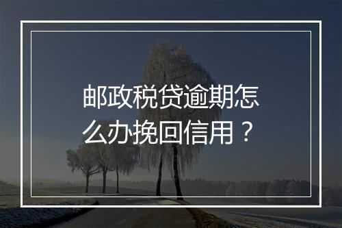 邮政税贷逾期怎么办挽回信用？