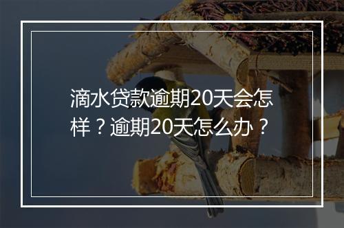 滴水贷款逾期20天会怎样？逾期20天怎么办？