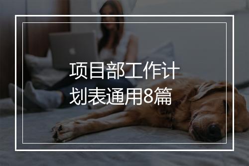 项目部工作计划表通用8篇