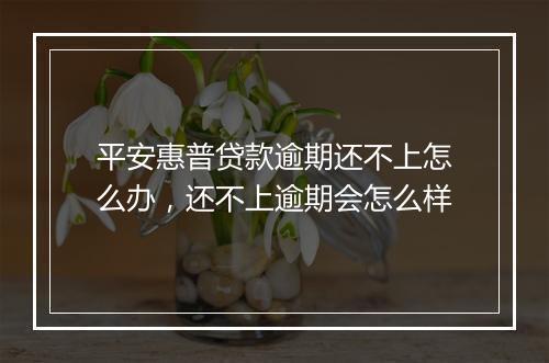 平安惠普贷款逾期还不上怎么办，还不上逾期会怎么样
