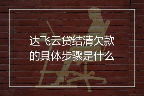 达飞云贷结清欠款的具体步骤是什么