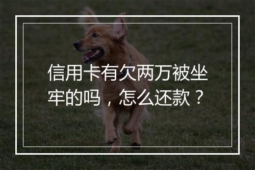 信用卡有欠两万被坐牢的吗，怎么还款？