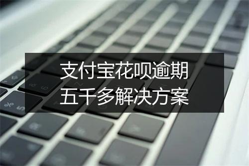 支付宝花呗逾期五千多解决方案