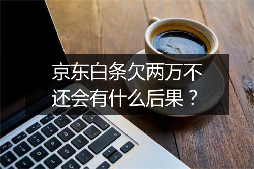 京东白条欠两万不还会有什么后果？