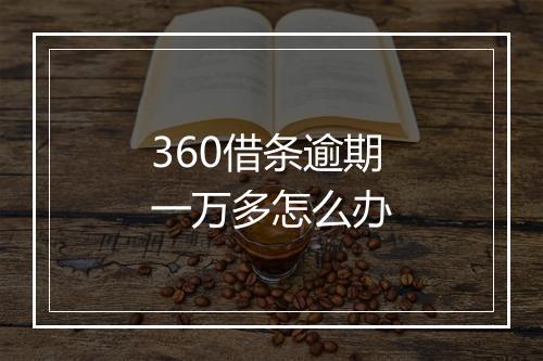 360借条逾期一万多怎么办