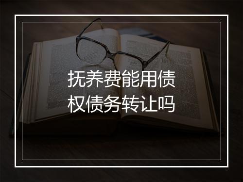 抚养费能用债权债务转让吗