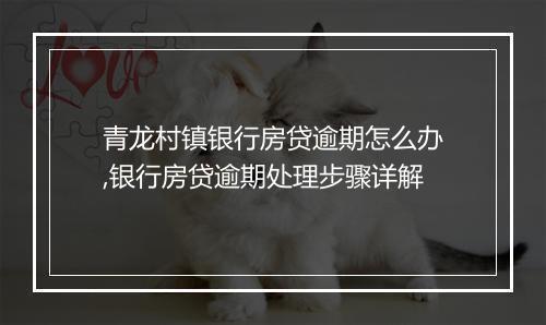 青龙村镇银行房贷逾期怎么办,银行房贷逾期处理步骤详解