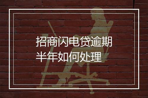 招商闪电贷逾期半年如何处理