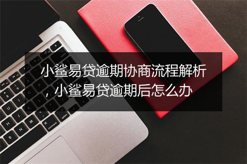 小鲨易贷逾期协商流程解析，小鲨易贷逾期后怎么办