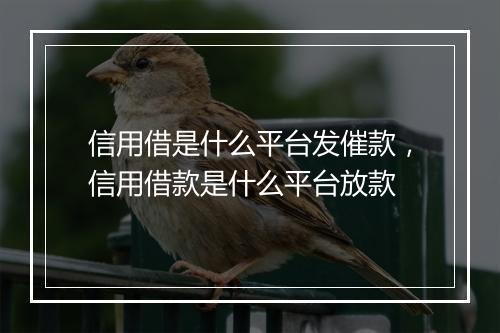 信用借是什么平台发催款，信用借款是什么平台放款