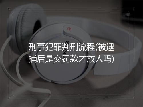 刑事犯罪判刑流程(被逮捕后是交罚款才放人吗)