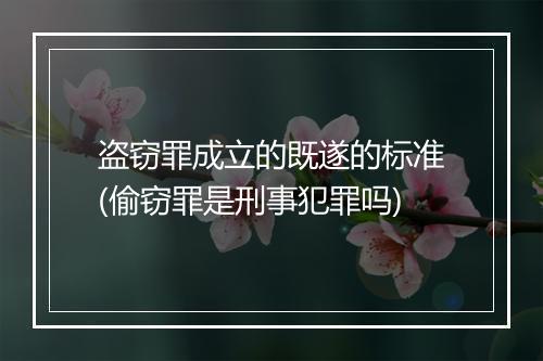 盗窃罪成立的既遂的标准(偷窃罪是刑事犯罪吗)