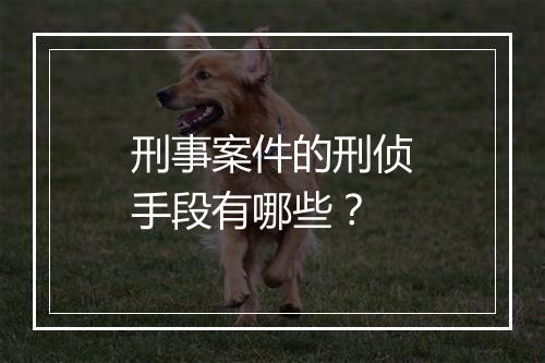 刑事案件的刑侦手段有哪些？