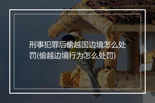 刑事犯罪后偷越国边境怎么处罚(偷越边境行为怎么处罚)