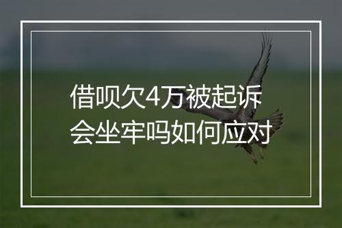 借呗欠4万被起诉会坐牢吗如何应对