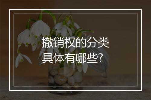 撤销权的分类具体有哪些?