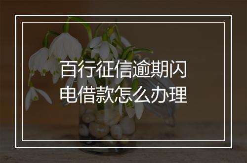 百行征信逾期闪电借款怎么办理