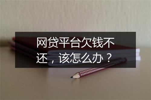 网贷平台欠钱不还，该怎么办？