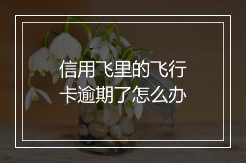 信用飞里的飞行卡逾期了怎么办