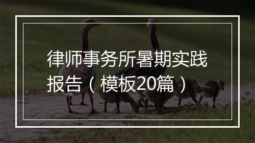 律师事务所暑期实践报告（模板20篇）
