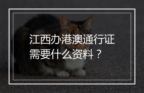 江西办港澳通行证需要什么资料？
